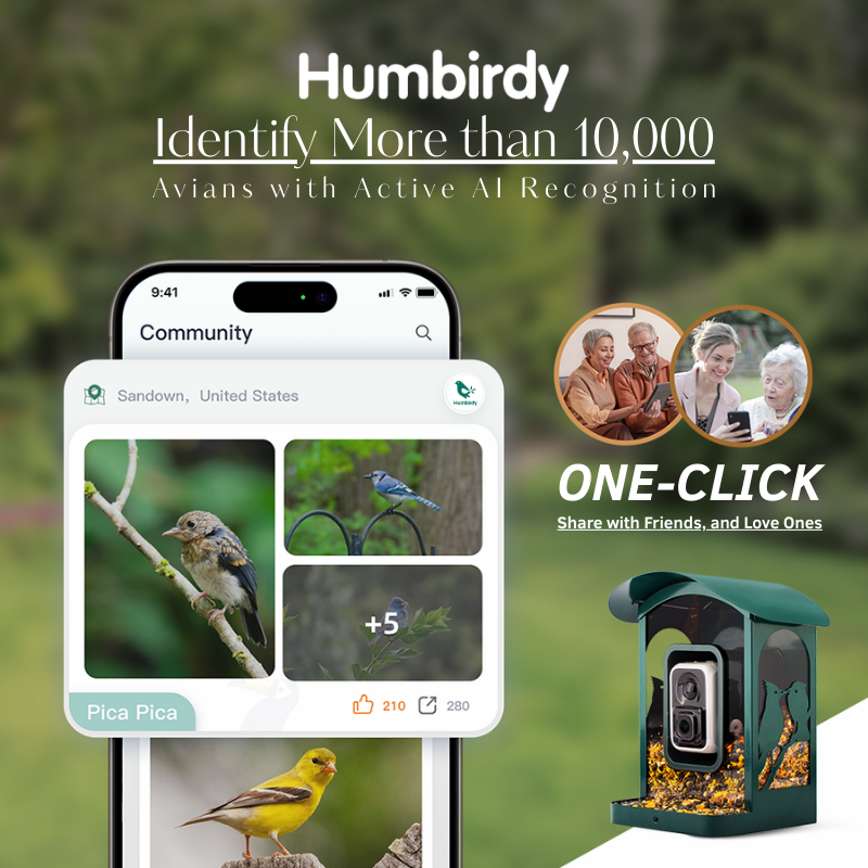 Humbirdy Launches AI Bird Feeder 4K Ultra
